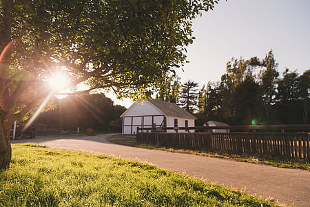 white house surrounded by trees during daytime thumbnail