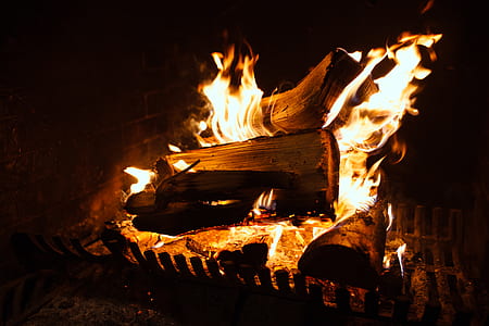 brown logs thumbnail