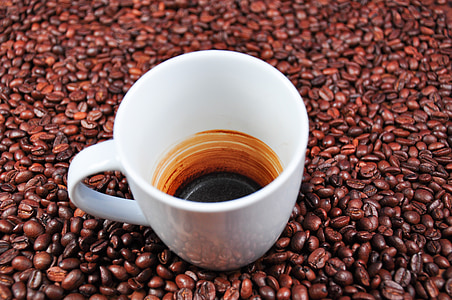 white ceramic cup on coffee beans thumbnail
