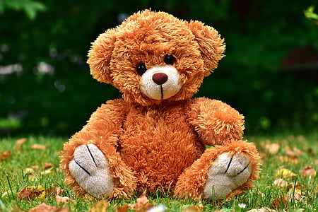 brown bear plush toy thumbnail
