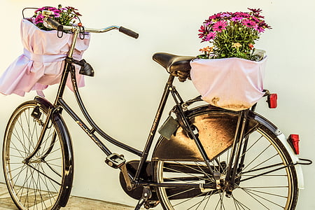 female beach cruiser with pink petaled flower arrangement on basket thumbnail