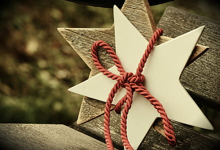 brown and white stars with red rope thumbnail