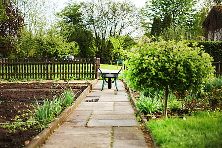 black and green wheelbarrow on gray walkway thumbnail