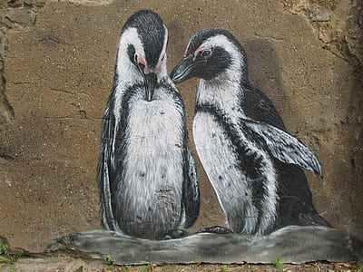 two black and white penguins thumbnail