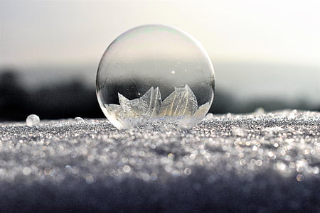 focus photography of clear bubble on ground thumbnail