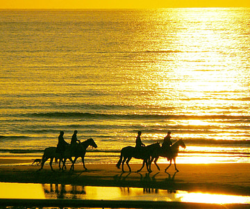 silhouette photo of four person riding horse near body of water thumbnail