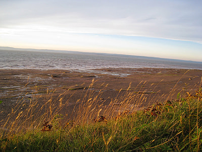Seashore with grass and beach in Nova Scotia, Canada thumbnail