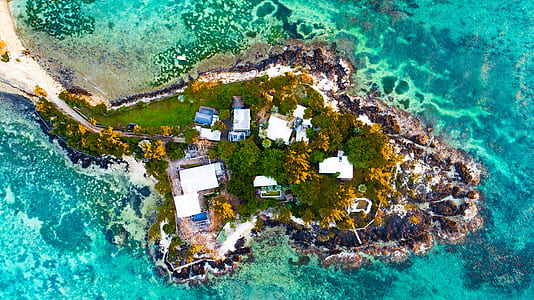 aerial view on houses beside seashore thumbnail