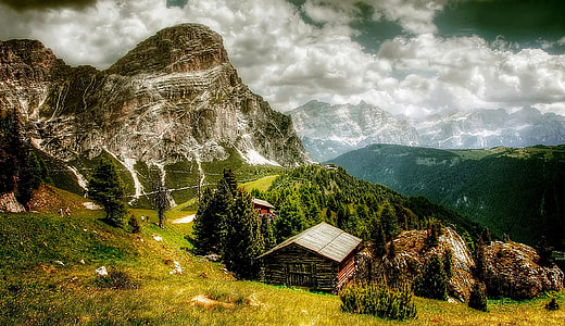 brown wooden horse on mountain during daytime thumbnail