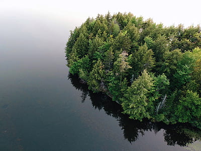bird's eye-view photography of island surrounded with trees thumbnail