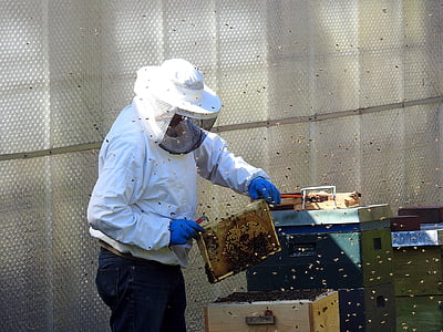 person wearing hazmat suit holding beekeeping frame thumbnail