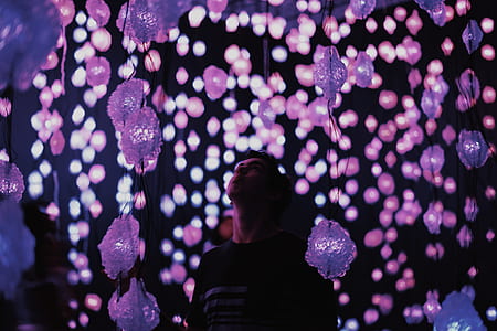 mans standing under hanging decors thumbnail