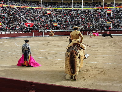 matadors playing inside arena with crowd of people watching thumbnail