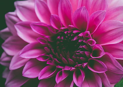 light, nature, holiday, love thumbnail