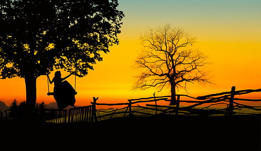 Photo illustration of girl watching sunset from a tree swing thumbnail
