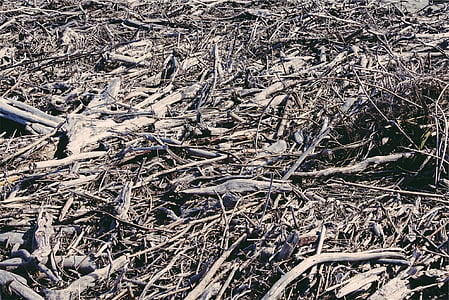 brown dirt thumbnail