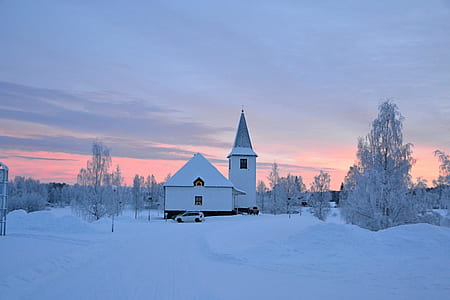 cold, snow, wood, landscape thumbnail