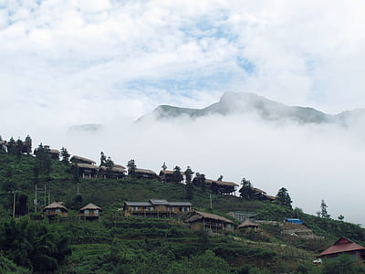 brown houses thumbnail