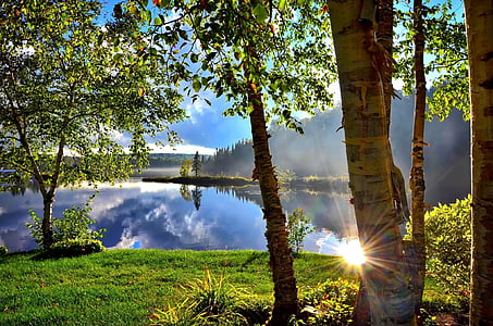 trees near body of water under blue sky during daytime thumbnail