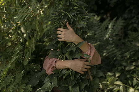 person hugging leafed plant during daytime thumbnail