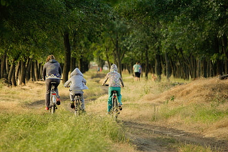 three persons cycling outdoors thumbnail