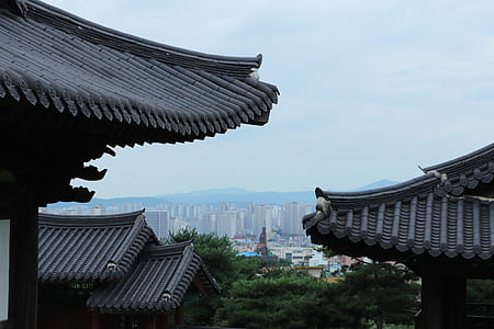 temple near trees thumbnail