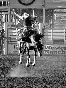 grayscale photo of man riding horse thumbnail