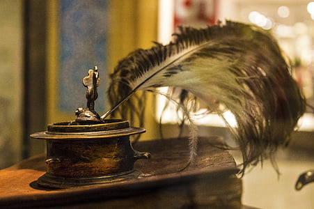black feather on grey steel container thumbnail
