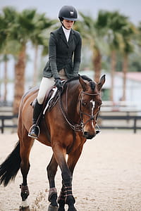 person, woman, animal, sport thumbnail