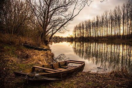 brown wooden punt board near lake thumbnail