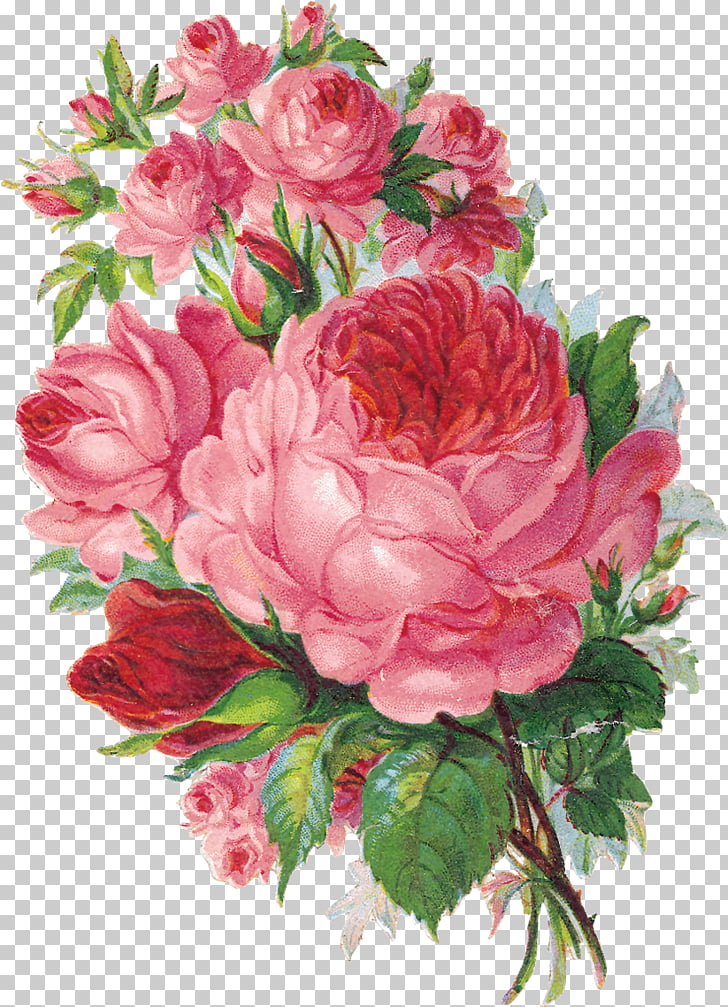 Floristry Flower Garden Roses Watercolor Painting Vintage Rose