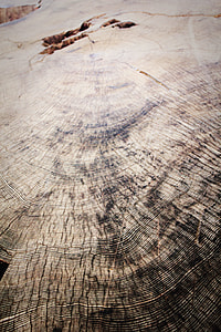 brown surface thumbnail