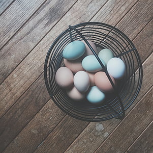basket of poultry eggs thumbnail