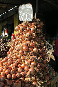 bunch of red onions thumbnail