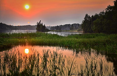 Green Grass Across the Lake thumbnail