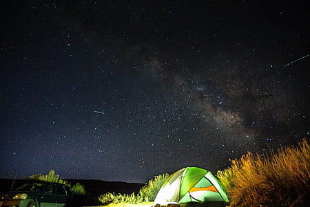 green tent beside grass at nighttime thumbnail