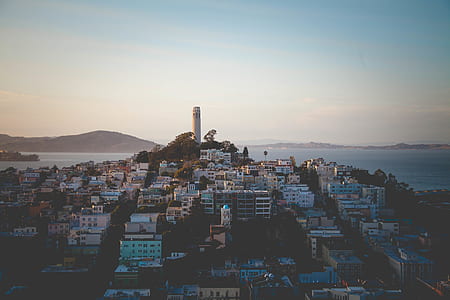 bird's eye view of buildings near body of water thumbnail