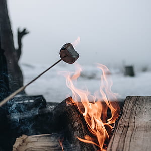 selective focus photography of skewed meat over lit firewoods thumbnail
