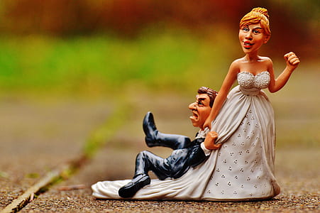 shallow focus photography of bride and groom figurine thumbnail