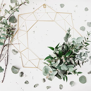 green plant on white wall thumbnail