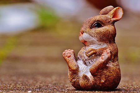 selective focus photograph of brown rabbit plush toy thumbnail
