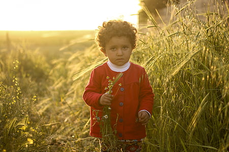 boy holding flower standing near tall grass thumbnail