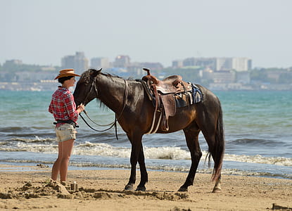 woman standing in front of brown horse thumbnail