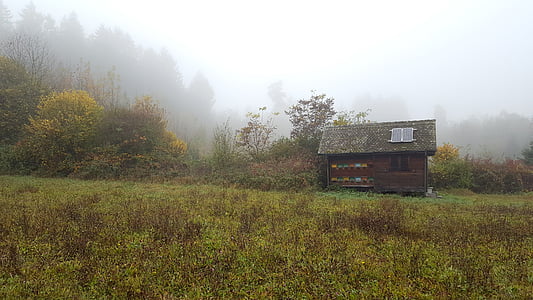 brown wooden house surrounded with grass thumbnail