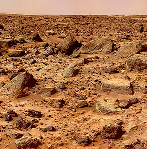 gray rocks field thumbnail