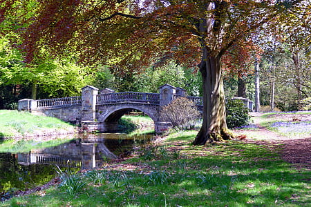 bridge near the tree and body of water thumbnail