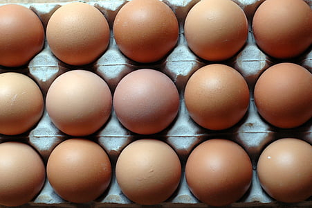 brown eggs thumbnail