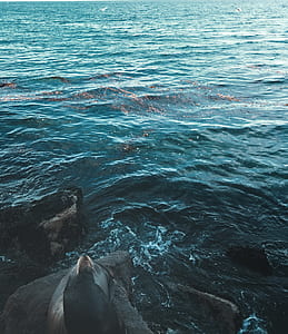 body of water photo thumbnail