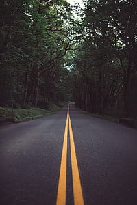 one point perspective photo of road thumbnail