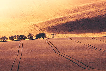 Endless Hills thumbnail